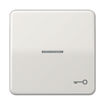 JUNG CD 500/CD plus Светло-серая Клавиша 1-ая с/п с символом КЛЮЧ CD590KO5TLG