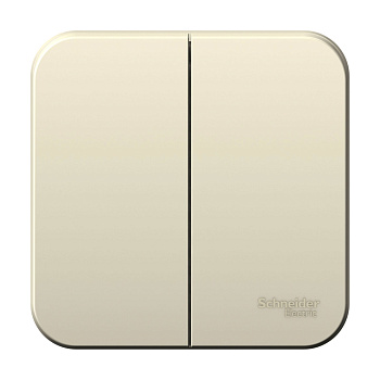 Systeme Electric Blanca наруж Молочный Выключатель 2-клавишный 6А, 250B, изолир. пластина