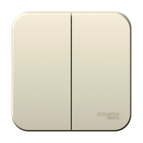 Systeme Electric Blanca наруж Молочный Выключатель 2-клавишный 6А, 250B, изолир. пластина