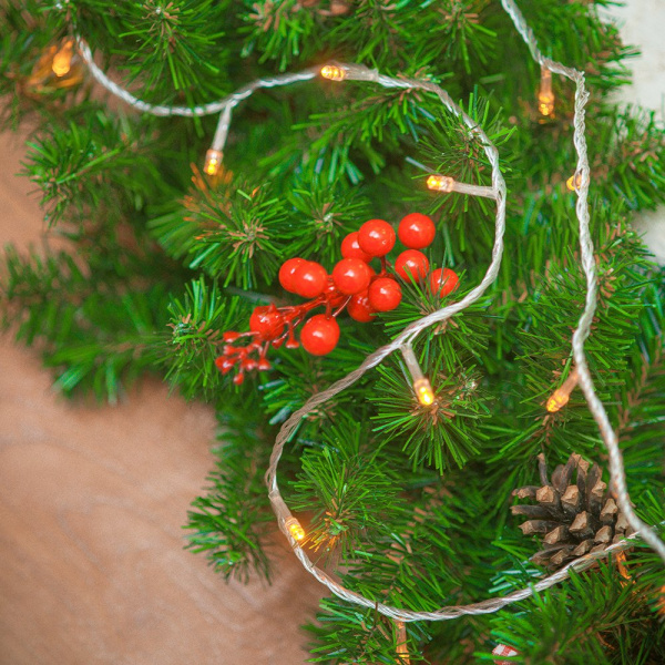 Купить Arlight Светодиодная гирлянда ARD-CURTAIN-HOME-1000x1500-CLEAR-96LED Warm (230V, 6W) (Ardecoled, IP20) 024826