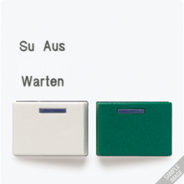 JUNG Крышка для розетки фирмы Ackermann LS642B-2