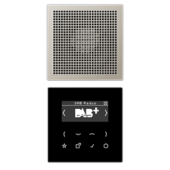 JUNG Цифровое радио DAB + , нержавеющая сталь DABES1