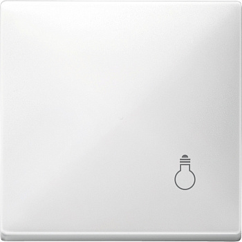 SE Merten SD Бел Клавиша с маркировкой «свет» MTN412919