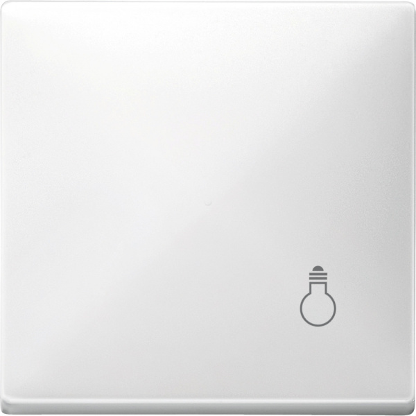 SE Merten SD Бел Клавиша с маркировкой «свет» MTN412919