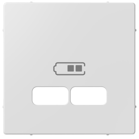 SE Merten SM Бел Актив Накладка центральная для USB механизма 2,1А MTN4367-0325