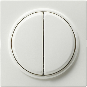 Gira Кнопочный 2-клавю переключатель 2- местн 012840