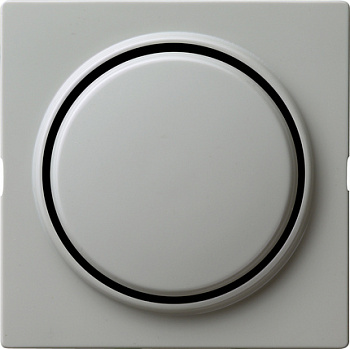 Gira Клавиша одинарная 029642