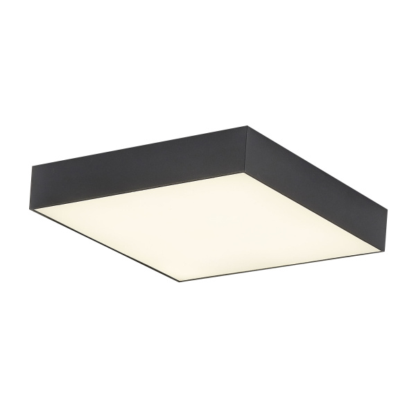 Citilux CL712X242N Тао Черный Светильник Накл. LED 24W*4000K