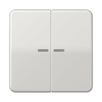 JUNG CD Светло-серая Клавиша 2-ая с/п ударопрочная CD595KO5BFLG