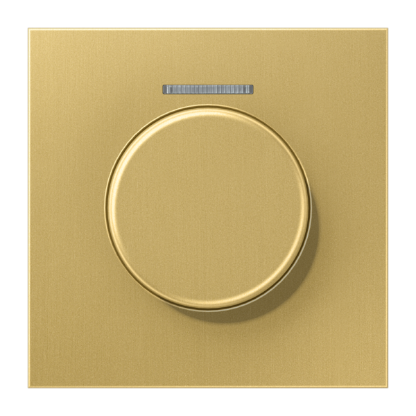 JUNG Накладка роторного механизма со световодом, латунь Classic ME1940KO5C