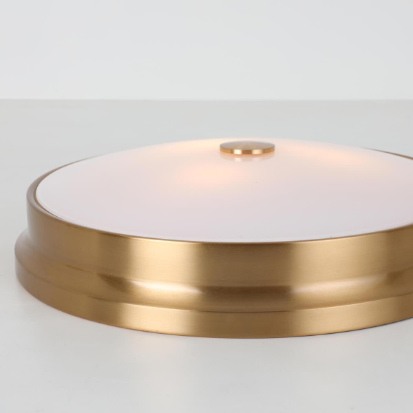 Купить Favourite Pannikin Потолочный светильник D410*H100 3*E27*40W, excluded 2375-3C