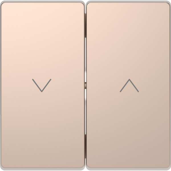 SE Merten D-Life Шампань Клавиша-кнопка для жалюзи MTN3855-6051