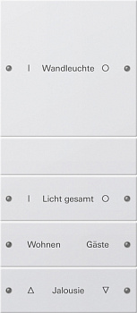 Gira Набор клавиш 4-местный (1+3),  ГРАВИРОВКА 220403