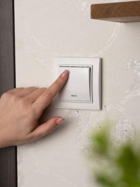 Купить EKF Basic Минск Белый Выключатель 1-кл с индикатором, 10А, СП