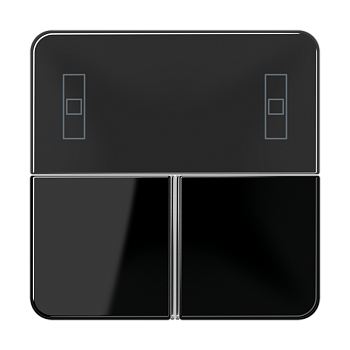 JUNG Накладка для Room controller CD4093TSASW
