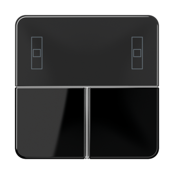 JUNG Накладка для Room controller CD4093TSASW