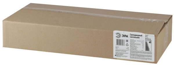 Купить ЭРА SPP-5-120-5K-W Светильник уличный 120Вт 13200лм 5000К КСС "Ш-aб" IC-COB 48-60мм