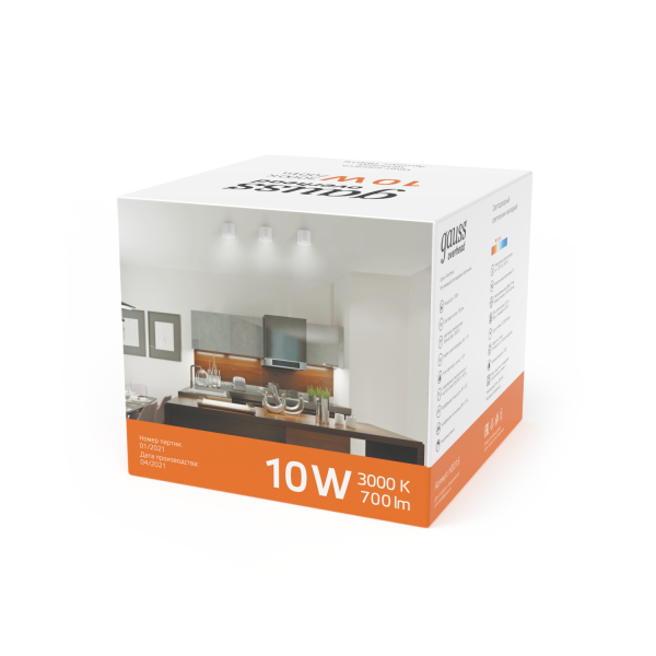 Купить Gauss Светильник Overhead накл цил 10W 700lm 3000K 170-240V IP20 88*75мм белый с расс LED HD025