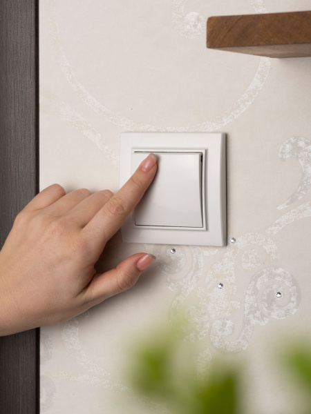 Купить EKF Basic Минск Белый Выключатель 1-кл, 10А, СП