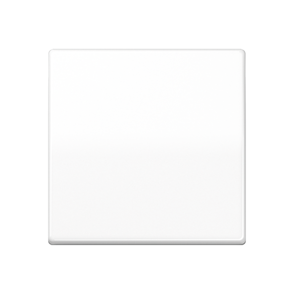 JUNG Клавиша для выключателя термопласт белая AS591BFWW