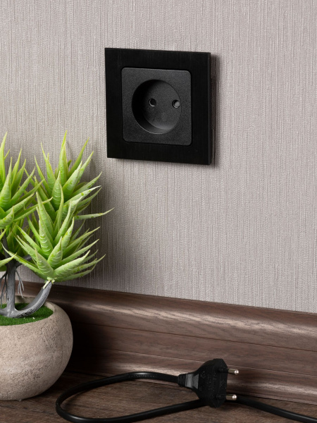 Купить EKF PROxima Стокгольм Черный Розетка б/з, со шторками, 10А