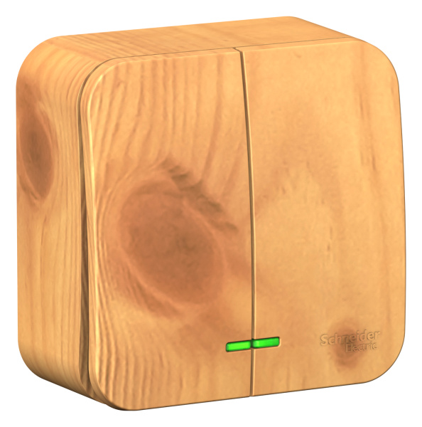 Купить Systeme Electric Blanca наруж Ясень Выключатель 2-клавишный , 10А, 250B