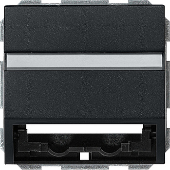 Gira Накладка с опорной пластиной для розеток средств связи 0870005