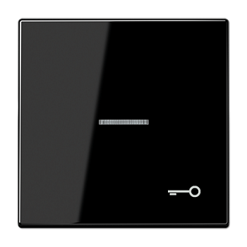 JUNG Клавиша для выключателя с символом «Ключ», чёрный LS990KO5TSW