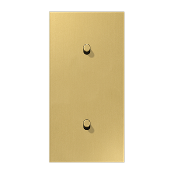 JUNG LS1912 Латунь классик Центральная плата, 2 поста, для вертикальной установки, тумблеры 1+1,цилиндр; метал. исполнение ME12-20CR25