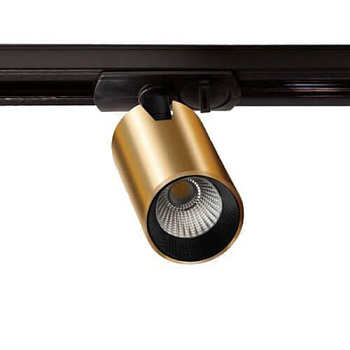 ITALLINE TR 3006 gold 10W светильник для шины