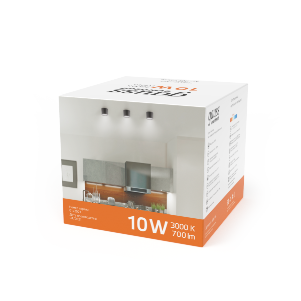 Купить Gauss Светильник Overhead накл цил 10W 700lm 3000K 170-240V IP20 88*75мм черный с расс LED HD016