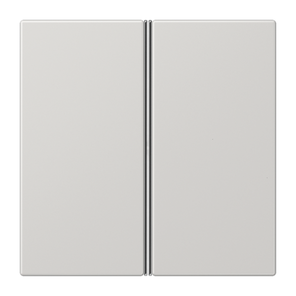 JUNG Набор клавиш для сенсорного модуля KNX, двойной, светло-серый LS402TSALG