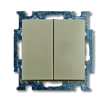 ABB BJB Basic 55 Шамп Выключатель 2-х клавишный 2CKA001012A2167