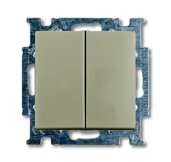 ABB BJB Basic 55 Шамп Выключатель 2-х клавишный 2CKA001012A2167