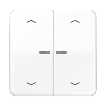 JUNG Клавиша для KNX кнопки, 2 группы с окошком и символами "стрелки" дюропласт белый CD102KO5PWW