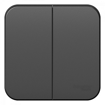 Systeme Electric Blanca наруж Антрацит Выключатель 2-клавишный 10А, 250B, изолир. пластина