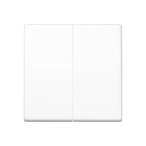 JUNG Клавиши для сдвоенного выключателя термопласт белые AS591-5BFWW