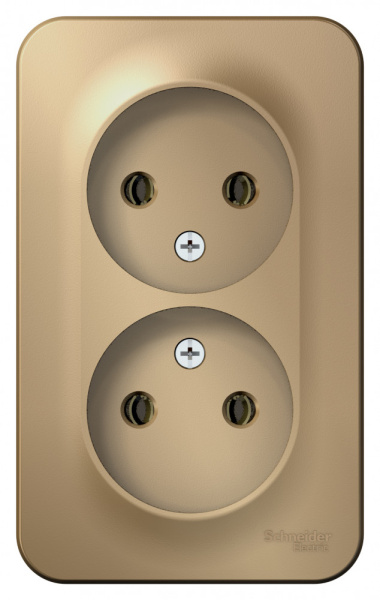 Systeme Electric Blanca наруж Титан Розетка 2-ая б/з без шторок 16А, 250В, изолир. пластина
