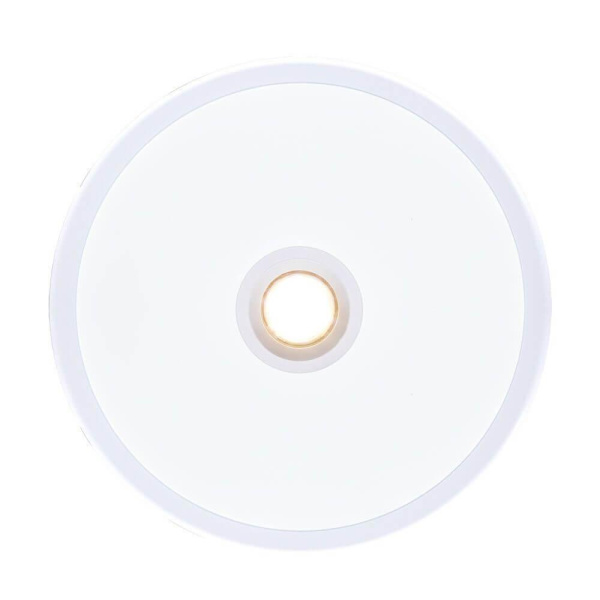 Купить Arte Lamp VERSUS Потолочные светильники A2517PL-2WH