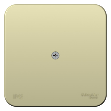 Купить Systeme Electric Blanca наруж Беж Коробка распределительная IP42