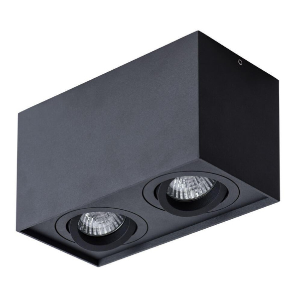 Arte Lamp FACTOR Потолочные светильники A5544PL-2BK