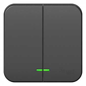 Systeme Electric Blanca наруж Антрацит Выключатель 2-клавишный с подсветкой 10А,250B, изолир. пластина