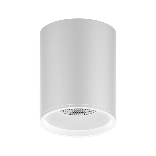 Купить Gauss Светильник Overhead накл цил 12W 920lm 4100K 170-240V IP20 79*100мм белый LED HD011