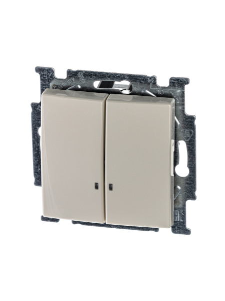 ABB BJB Basic 55 Беж Выключатель 2-клавишный с подсветкой 2CKA001012A2157