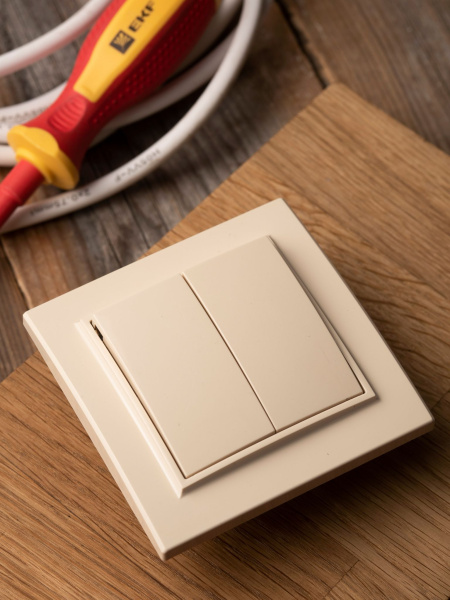 Купить EKF Basic Минск Бежевый Выключатель 2-кл, 10А, СП