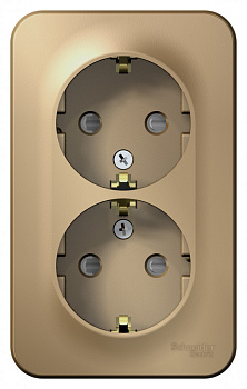 Systeme Electric Blanca наруж Титан Розетка 2-ая с/з со шторками 16А, 250В, изолир. пластина