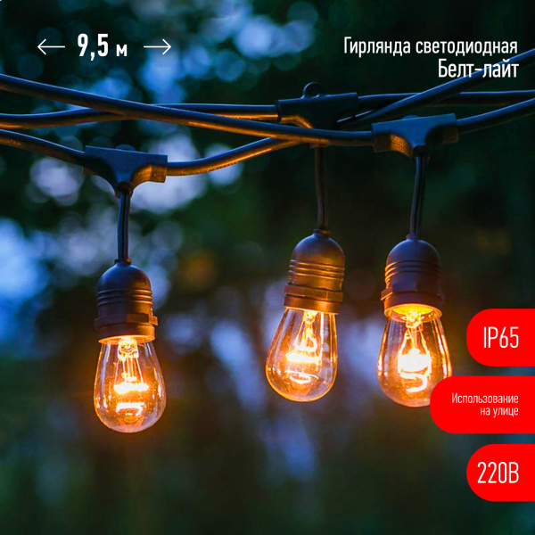 ЭРА ERABL-FIL2 Гирлянда нить Филамент 2, 9,5 м, длина провода 60 см, 20 LED, теплый белый, E27, каучук, 220В, IP44