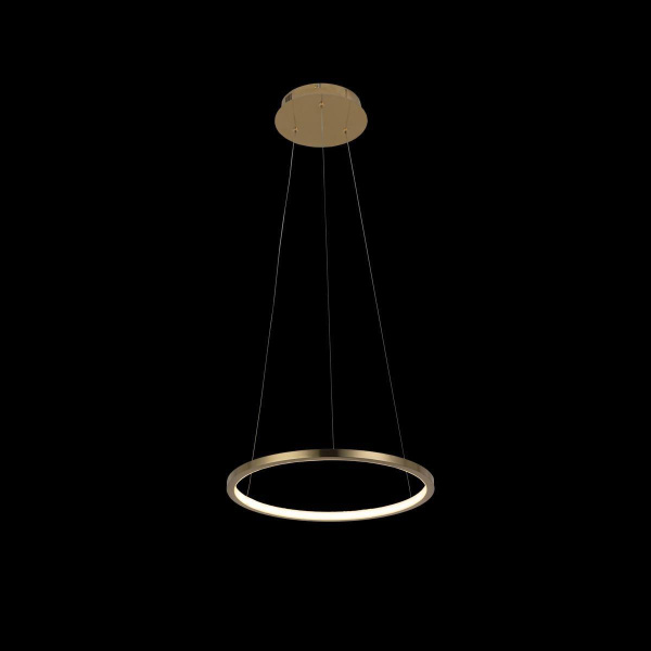 Купить LOFT IT 10014S Светильник подвесной Ring, шт