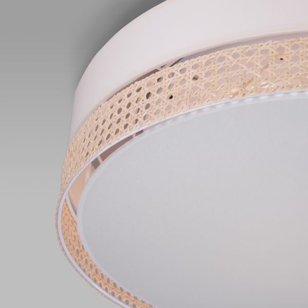 Купить Eurosvet 6691 Светильник потолочный Paglia a058076