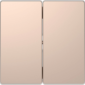 SE Merten D-Life Шампань Клавиша 2-ая MTN3400-6051